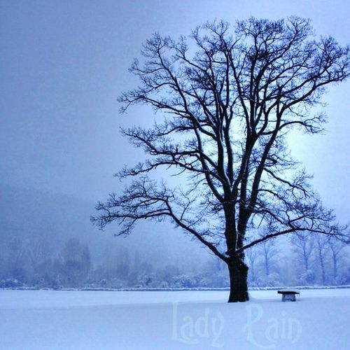 Fotografia de Lady Pain - Galeria Fotografica: Objetos y lugares - Foto: 