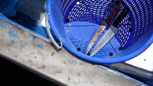 Fotografia de Alejandro Pe�a - Galeria Fotografica: Cerde�a - Foto: 