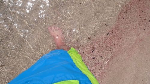 Fotografia de Alejandro Pe�a - Galeria Fotografica: Cerde�a - Foto: 