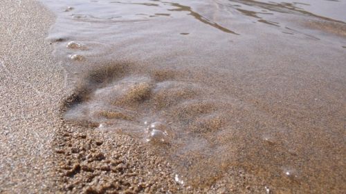 Fotografia de Alejandro Pe�a - Galeria Fotografica: Cerde�a - Foto: 