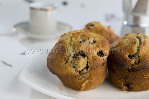 Fotografia de ARTE EN FOTOGRAFIA - Galeria Fotografica: Fotografa de Iluminacin de Producto - Foto: 