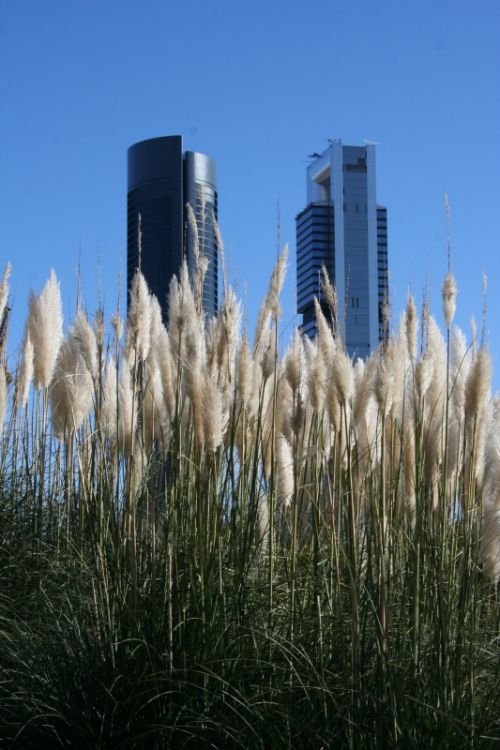 Fotografia de Ximena Torres - Galeria Fotografica: Arquitectura - Foto: 4 Torres