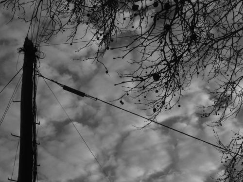 Fotografia de itignio - Galeria Fotografica: Cables - Foto: 