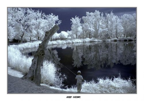 Fotografia de annajusep - Galeria Fotografica: fotografia infrarrojo - Foto: 