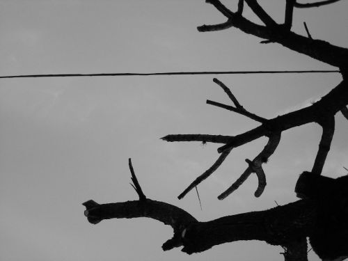 Fotografia de itignio - Galeria Fotografica: Cables - Foto: 