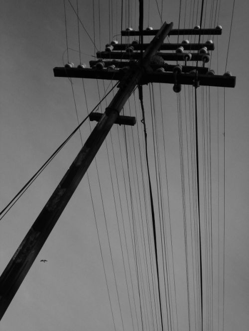 Fotografia de itignio - Galeria Fotografica: Cables - Foto: 