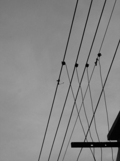 Fotografia de itignio - Galeria Fotografica: Cables - Foto: 