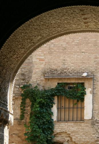 Fotografia de aure - Galeria Fotografica: ventanas - Foto: 