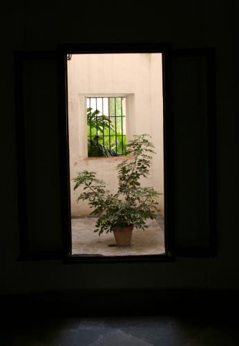 Fotografia de aure - Galeria Fotografica: ventanas - Foto: 