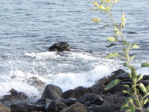 Fotografia de Paber - Galeria Fotografica: Abander - Foto: Olas