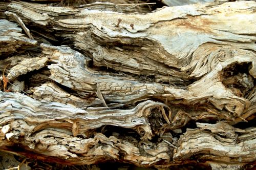 Fotografia de michel lopez - Galeria Fotografica: Un poco de todo - Foto: 