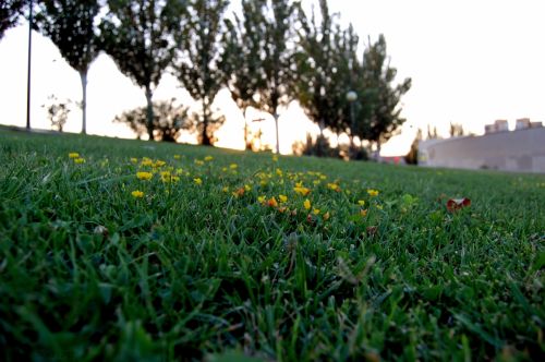 Fotografia de michel lopez - Galeria Fotografica: Un poco de todo - Foto: 