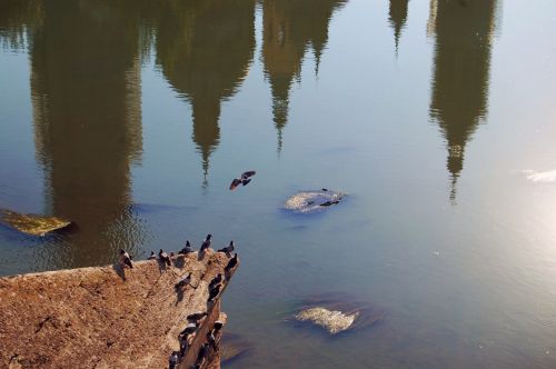 Fotografia de michel lopez - Galeria Fotografica: Un poco de todo - Foto: 