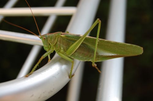 Fotografia de michel lopez - Galeria Fotografica: Un poco de todo - Foto: 