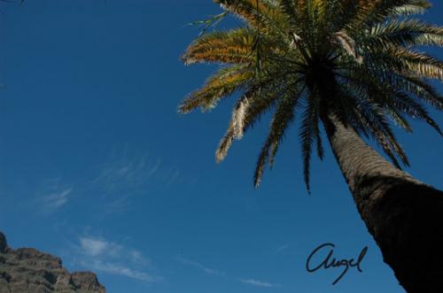 Fotografia de gelostone - Galeria Fotografica: PAISAJES - Foto: AL CIELO