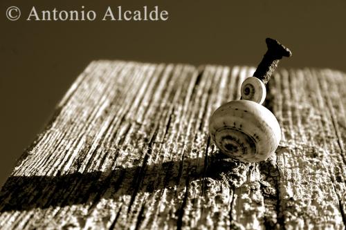 Fotografia de Antonio Alcalde - Galeria Fotografica: De todo un poco..... - Foto: Caracol