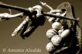 Fotos de Antonio Alcalde -  Foto: De todo un poco..... - Caracoles