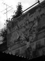 Fotos de Guillermo Castillo Ramrez -  Foto: Imgenes alternas en muros olvidados.  El gran lienzo de la ciudad de Mxico. - 