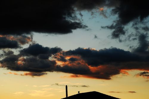 Fotografia de Francesc Dur - Galeria Fotografica: Atardeceres en El Burgo Ranero (Len) - Foto: 