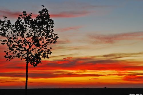 Fotografia de Francesc Dur - Galeria Fotografica: Atardeceres en El Burgo Ranero (Len) - Foto: 