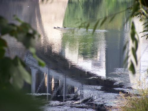 Fotografia de TATO - Galeria Fotografica: IMPRESIONES - Foto: ESCUELA