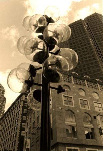 Fotografia de Instituto Arte Fotografico Bosques - Galeria Fotografica: Alumnos IAFBosques - Foto: 