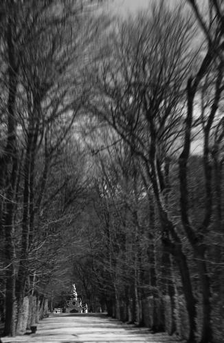 Fotografia de Plutak - Galeria Fotografica: negro con blanco y color - Foto: camino 2