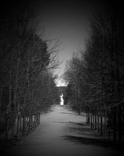 Fotografia de Plutak - Galeria Fotografica: negro con blanco y color - Foto: camino 1