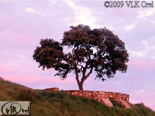 Fotografia de VLK OREL - Galeria Fotografica: VIDA - Foto: 