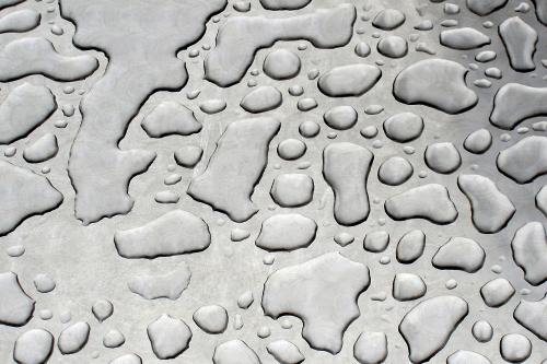 Fotografia de  - Galeria Fotografica: Blanco y Negro - Foto: Despues de la lluvia