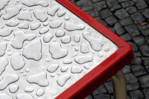 Fotografia de  - Galeria Fotografica: Selecciones del autor - Foto: Depois da chuva