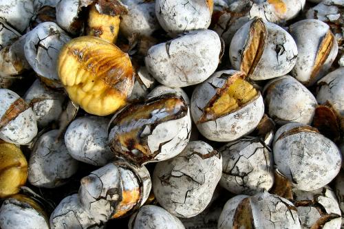 Fotografia de  - Galeria Fotografica: Selecciones del autor - Foto: Quentes e boas