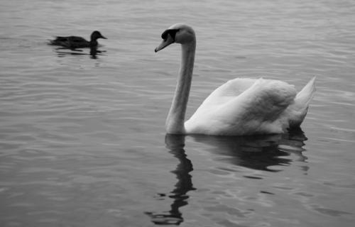 Fotografia de 677 537 283 - Galeria Fotografica: Reportaje, Arquitectura y un poco Naturaleza - Foto: 