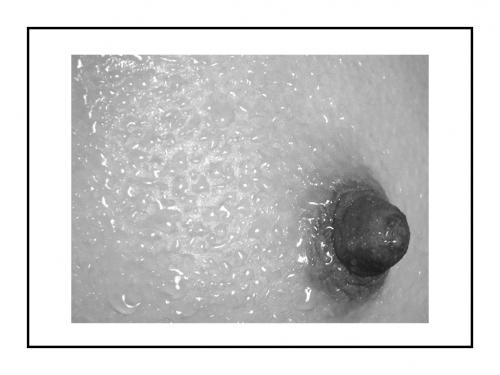 Fotografia de JAVIER MALISAN - Galeria Fotografica: Estudio 01 - Foto: 