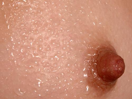 Fotografia de JAVIER MALISAN - Galeria Fotografica: Estudio 01 - Foto: 