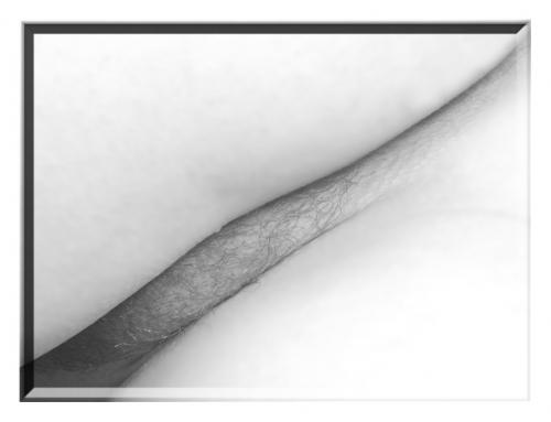 Fotografia de JAVIER MALISAN - Galeria Fotografica: Estudio 01 - Foto: 