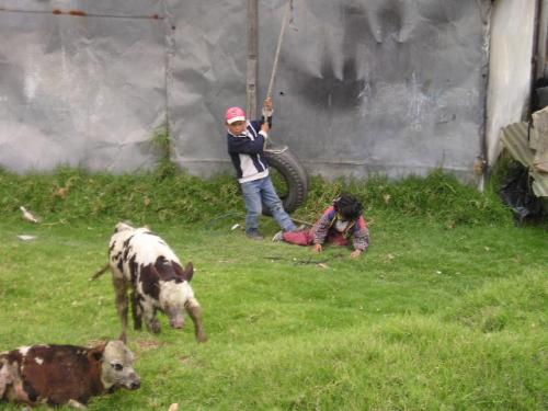 Fotografia de Mystic - Galeria Fotografica: nios - Foto: nios 01