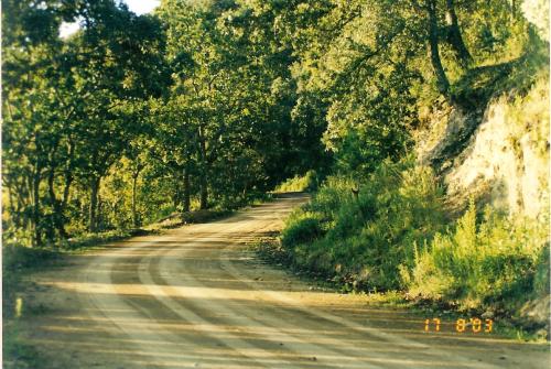 Fotografia de Efrain - Galeria Fotografica: TLALPUJAHUA - Foto: senderos en alrededores del pueblo
