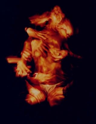 Fotografia de Oscar Fuentes - Galeria Fotografica: De Todo un poco  - Foto: 