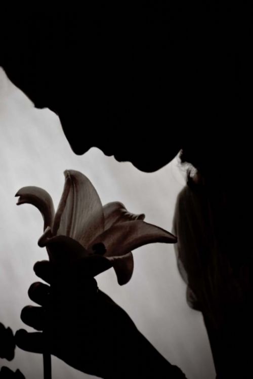 Fotografia de Cristina Caballero - Galeria Fotografica: Bodas - Foto: 