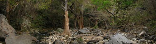 Fotografia de krlozgs - Galeria Fotografica: River - Foto: 