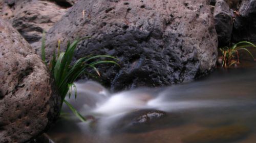 Fotografia de krlozgs - Galeria Fotografica: River - Foto: 