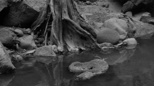 Fotografia de krlozgs - Galeria Fotografica: River - Foto: 