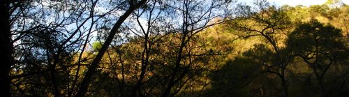 Fotografia de krlozgs - Galeria Fotografica: River - Foto: 