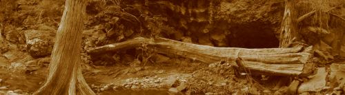 Fotografia de krlozgs - Galeria Fotografica: River - Foto: 