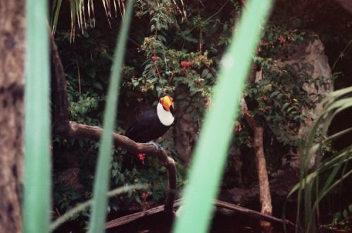 Fotografia de OESTEFOTO  - Galeria Fotografica: ALGUNAS DE MIS FOTOS... - Foto: 