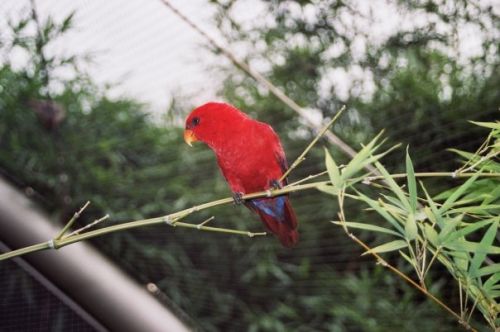 Fotografia de OESTEFOTO  - Galeria Fotografica: ALGUNAS DE MIS FOTOS... - Foto: 