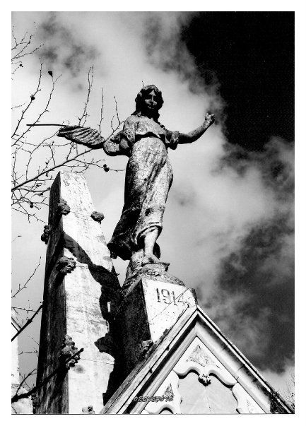 Fotografia de OESTEFOTO  - Galeria Fotografica: ALGUNAS DE MIS FOTOS... - Foto: 