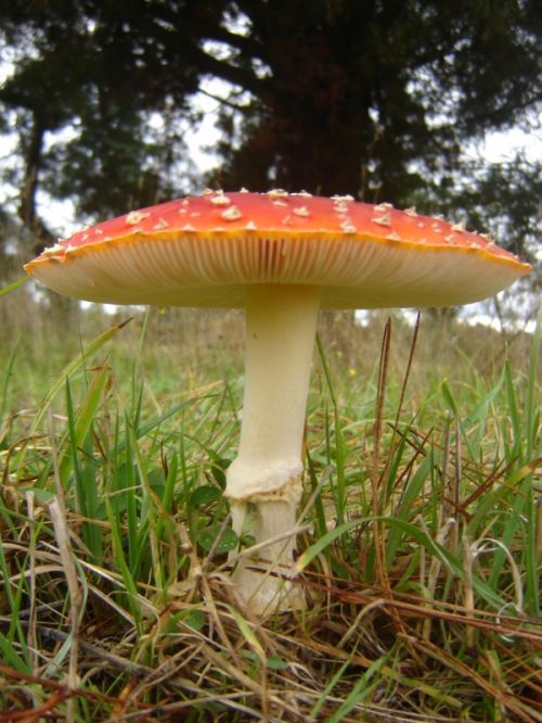 Fotografia de alvaro torres - Galeria Fotografica: patagonia 2010 - Foto: 