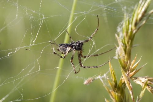 Fotografia de alvaro torres - Galeria Fotografica: patagonia 2010 - Foto: 